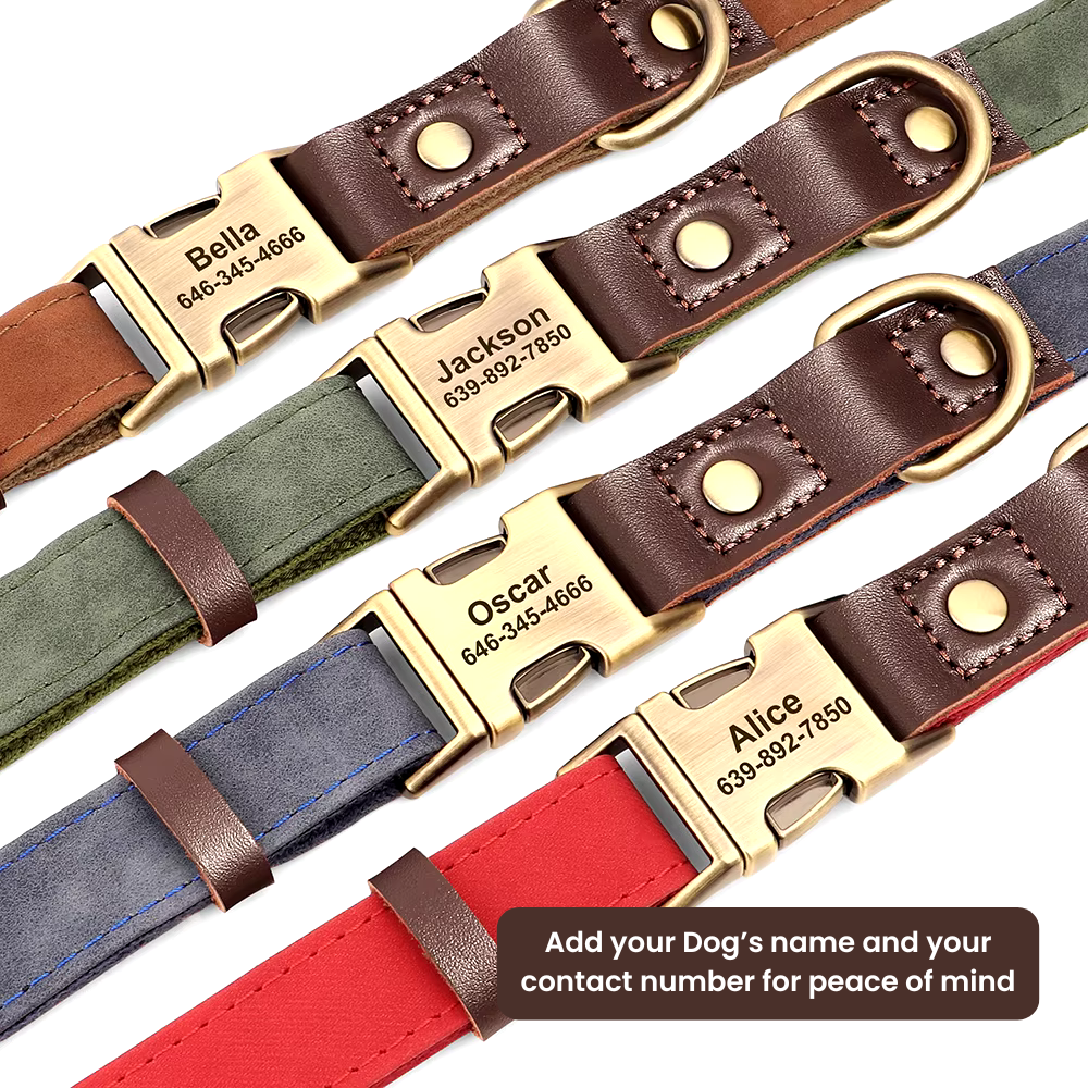 Custom ID Huntsman Dog Collar Canine Culture