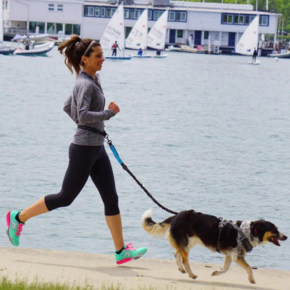 Hands-Free Bungee Dog Leash Waist Belt Canine Culture