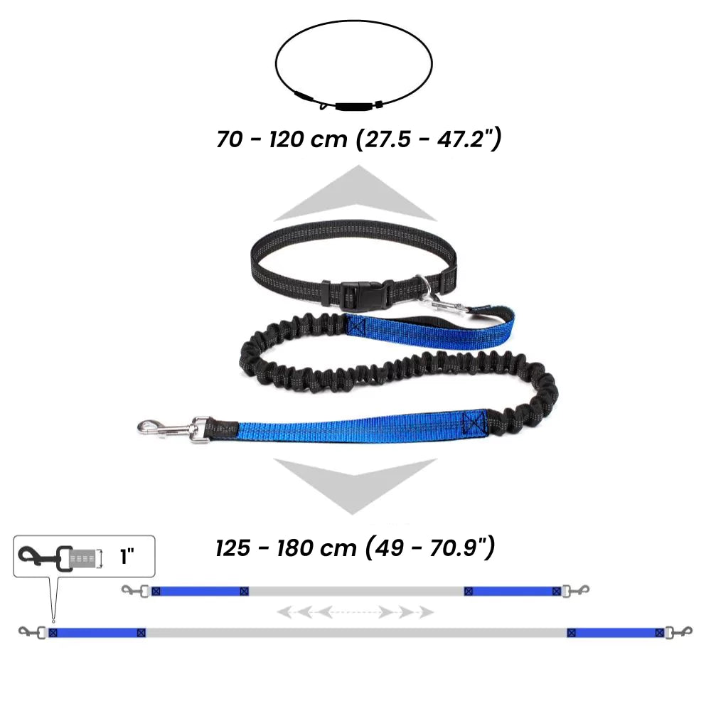 Hands-Free Bungee Dog Leash Waist Belt Canine Culture