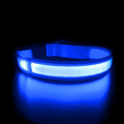 LED DOG COLLAR WATERPROOF CANINE CULTURE