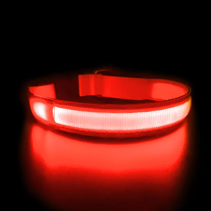 Red LED Dog Collar Waterproof Canine Culture