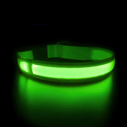 GREEN LED DOG COLLAR WATERPROOF CANINE CULTURE