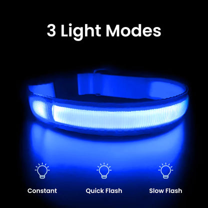 LED Dog Collar Waterproof Canine Culture