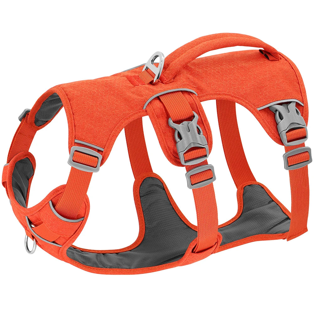 Orange Active Dog Harness | Y Front & Clip Canine Culture