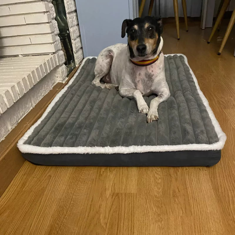 Orthopaedic Dog Bed Ultra-Soft Washable Canine Culture