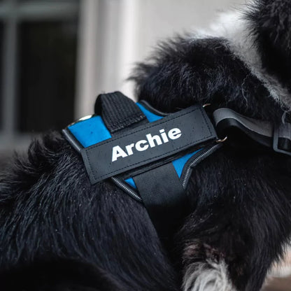 Personalized Dog Harness | Reflective With Safety Handle