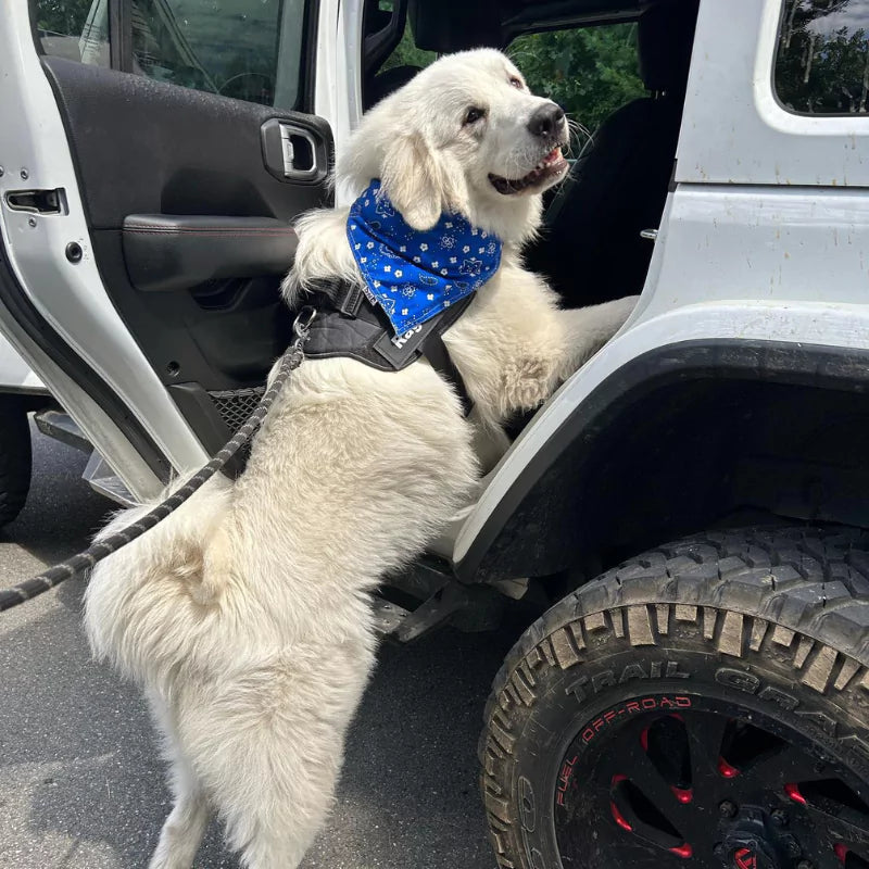 Desert Camo Personalized Dog Harness Reflective With Safety