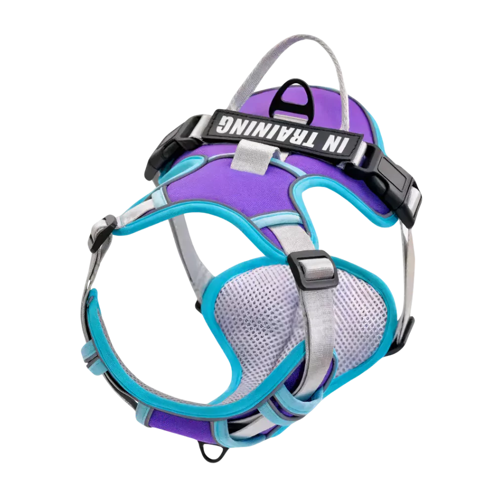 Purple Custom Dog Harness Canine Culture