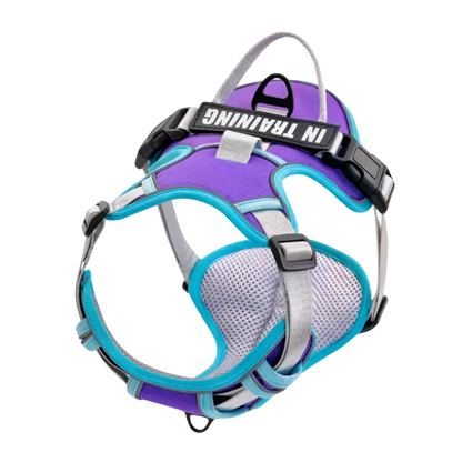 Purple Custom Dog Harness Canine Culture