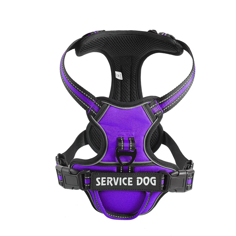 Purple Custom Canine Dog Y Harness