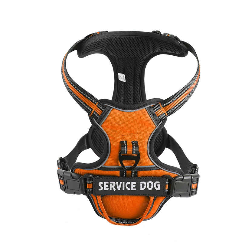 Orange Custom Canine Dog Y Harness