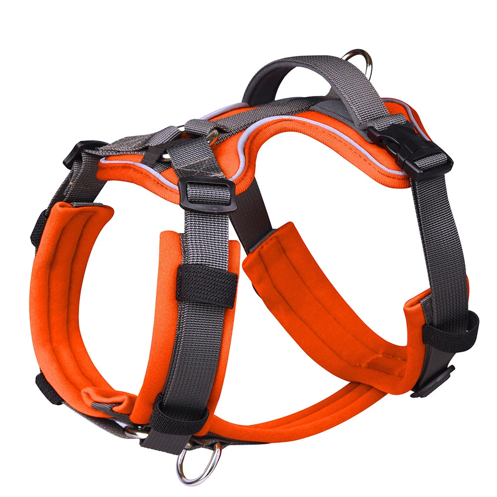 Sunburst Orange Explorer Dog Harness | Y Front