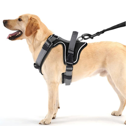 Canine Black Explorer Dog Harness | Y Front