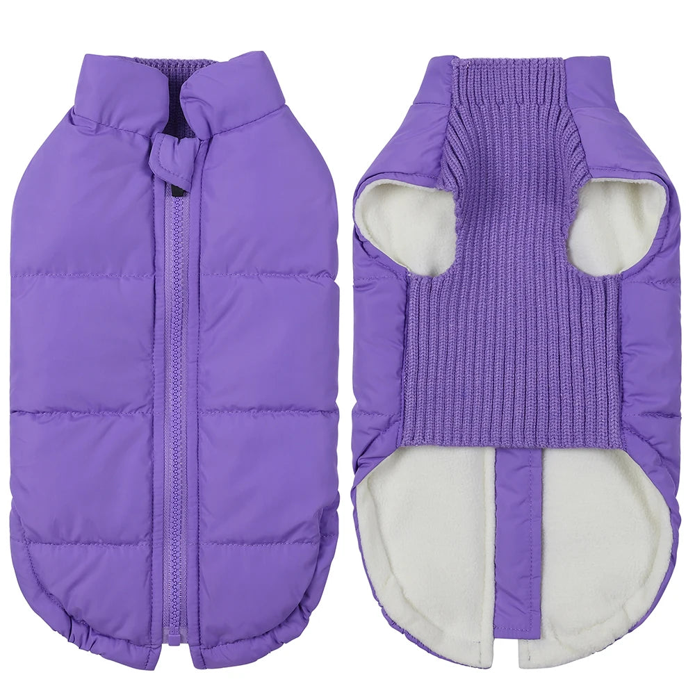 Purple Warm Fleeced Dog Coat | Windproof