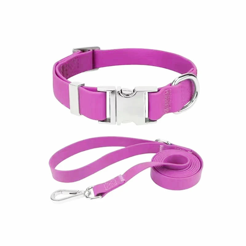 dog collar and leash set