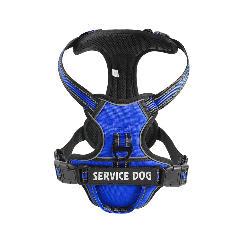 Blue Custom Canine Dog Y Harness