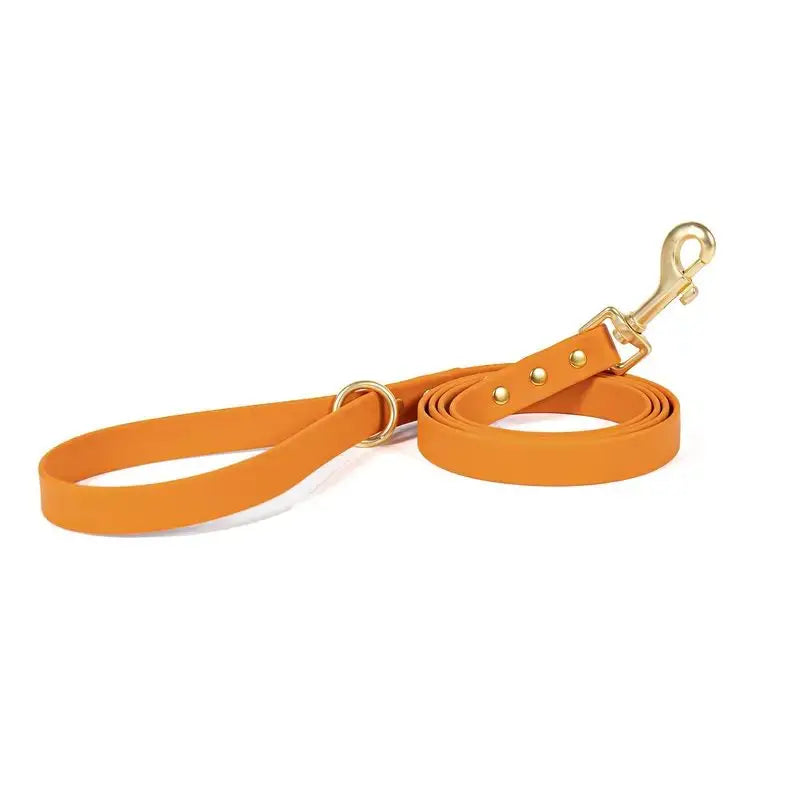 Gold Riveted PVC Dog Leash