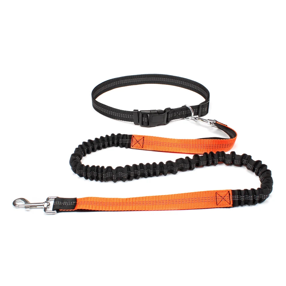 Hands-Free Bungee Dog Leash Waist Belt Canine Culture