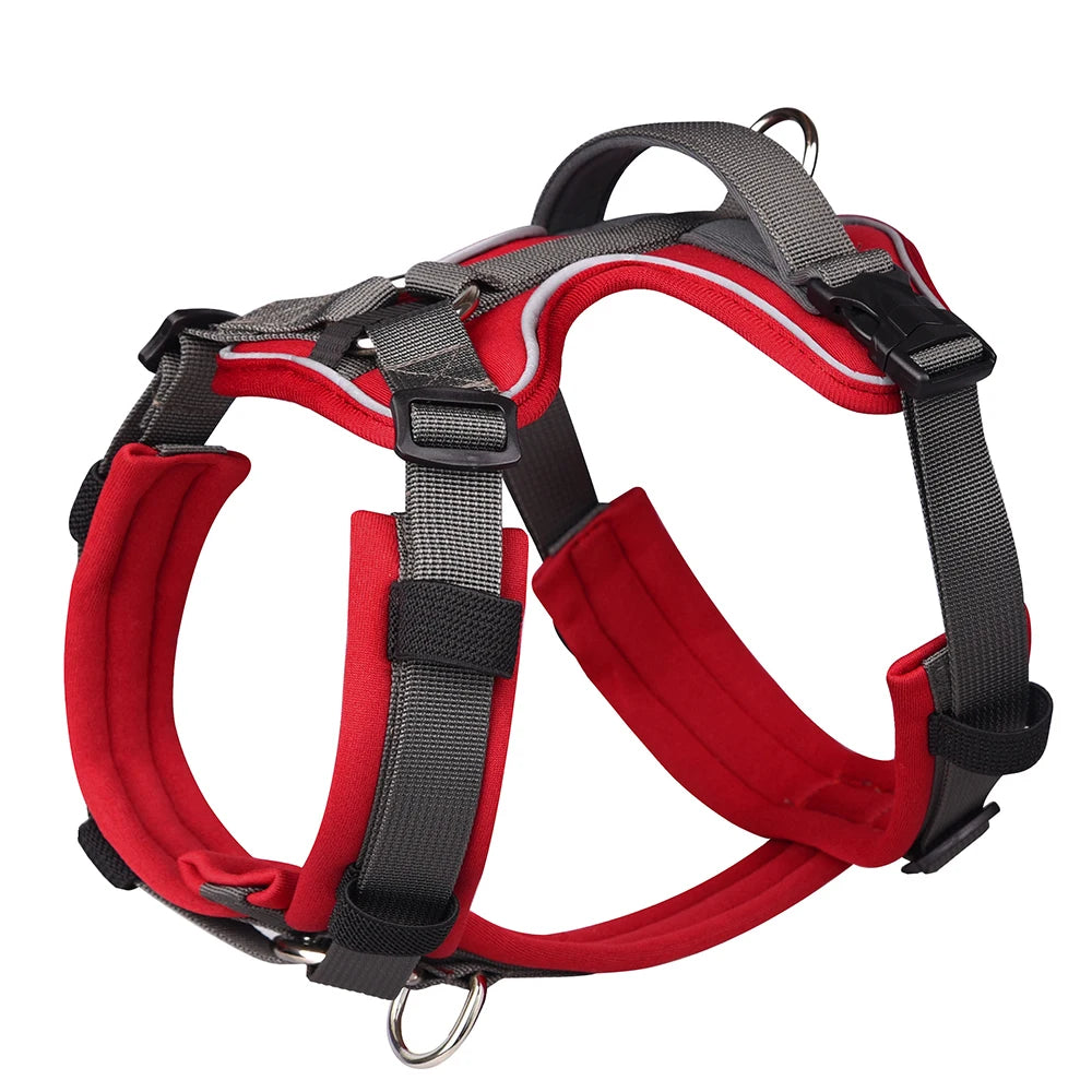 Crimson Red Explorer Dog Harness | Y Front