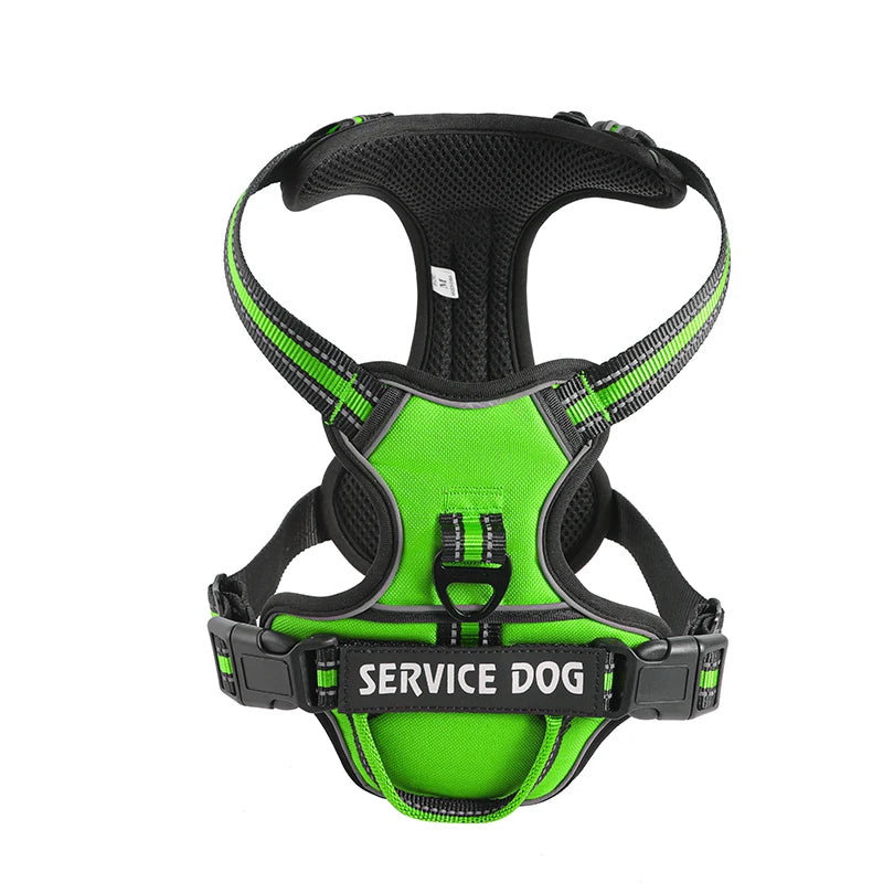 Green Custom Canine Dog Y Harness