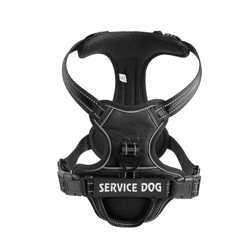 Custom Canine Black Dog Y Harness