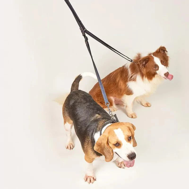 Two-Way Denim Dog Leash