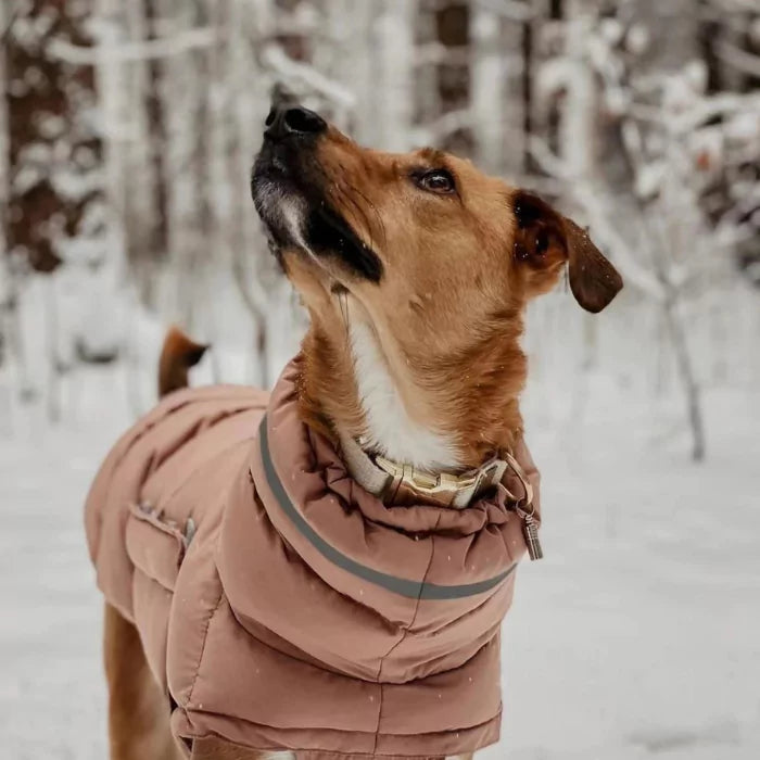 Pink Ultra-Padded Dog Down Coat | Waterproof