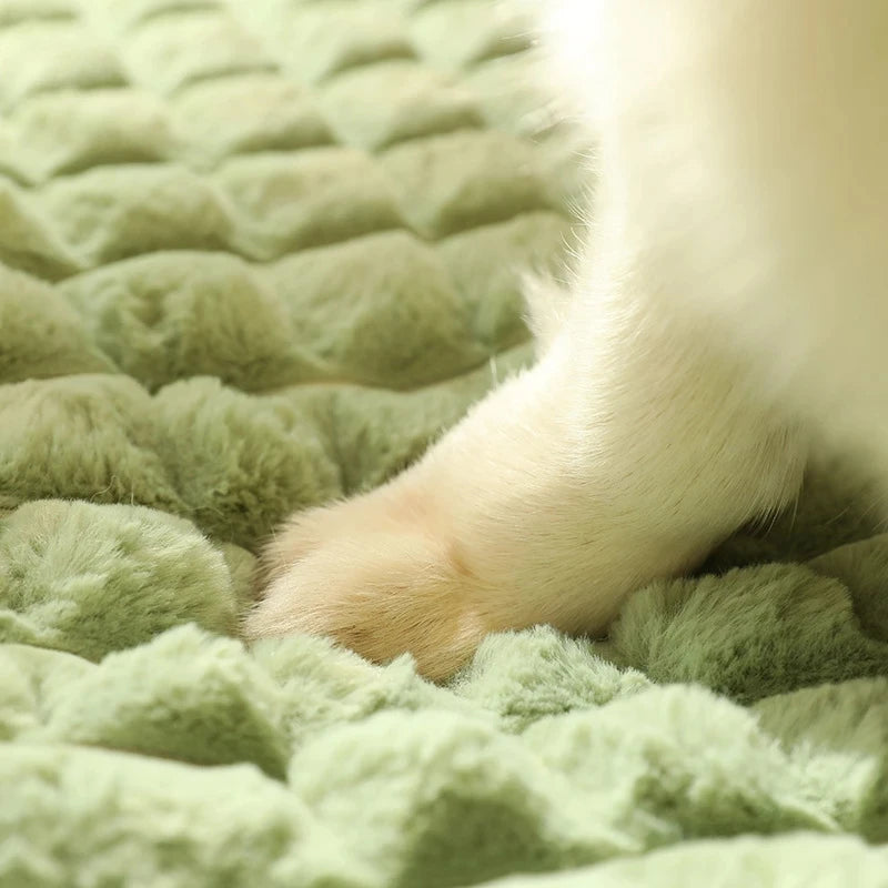 Ultra-Soft Plaid Dog Bed