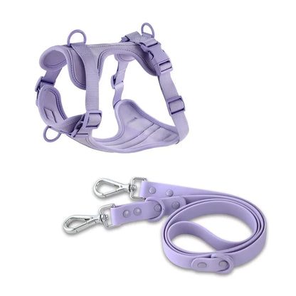 purple pvc urban dog harness Y shape front two clips double ended leash set canine culture