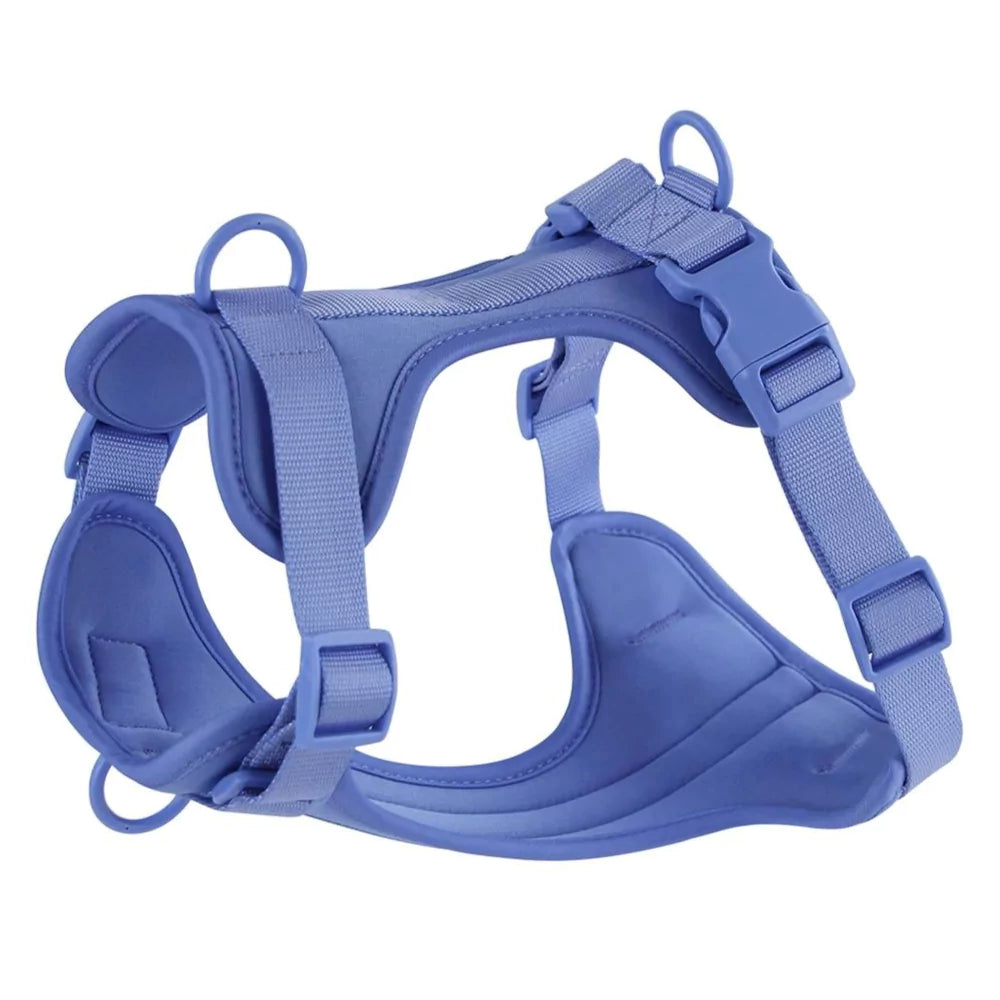 blue pvc urban dog harness Y shape front two clips canine culture