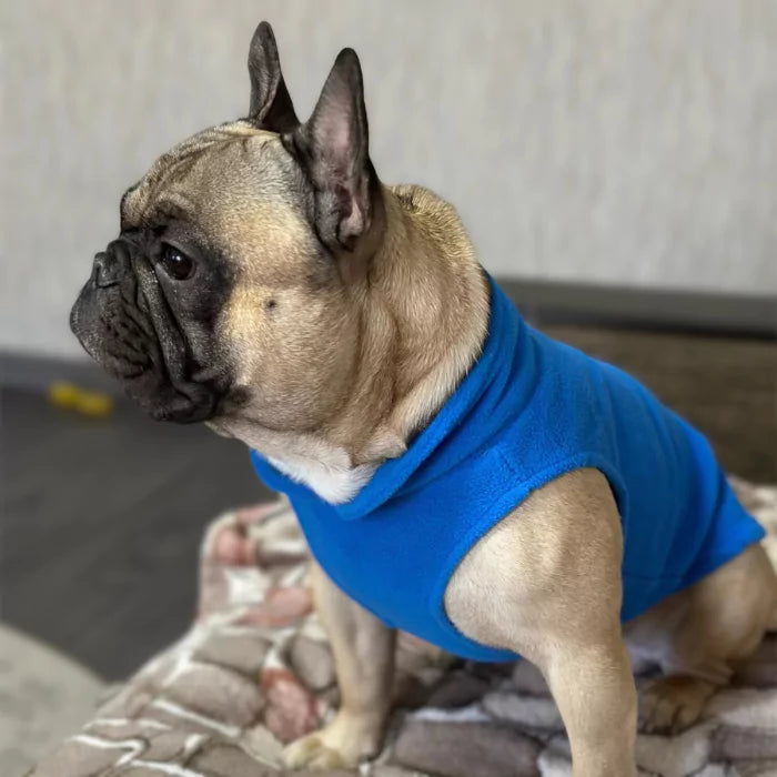 Turquoise Warm Winter Dog Fleece | For Small Breeds