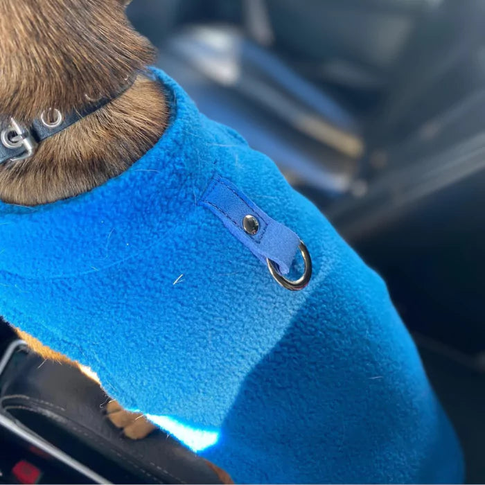 Cobalt Blue Warm Winter Dog Fleece | For Small Breeds
