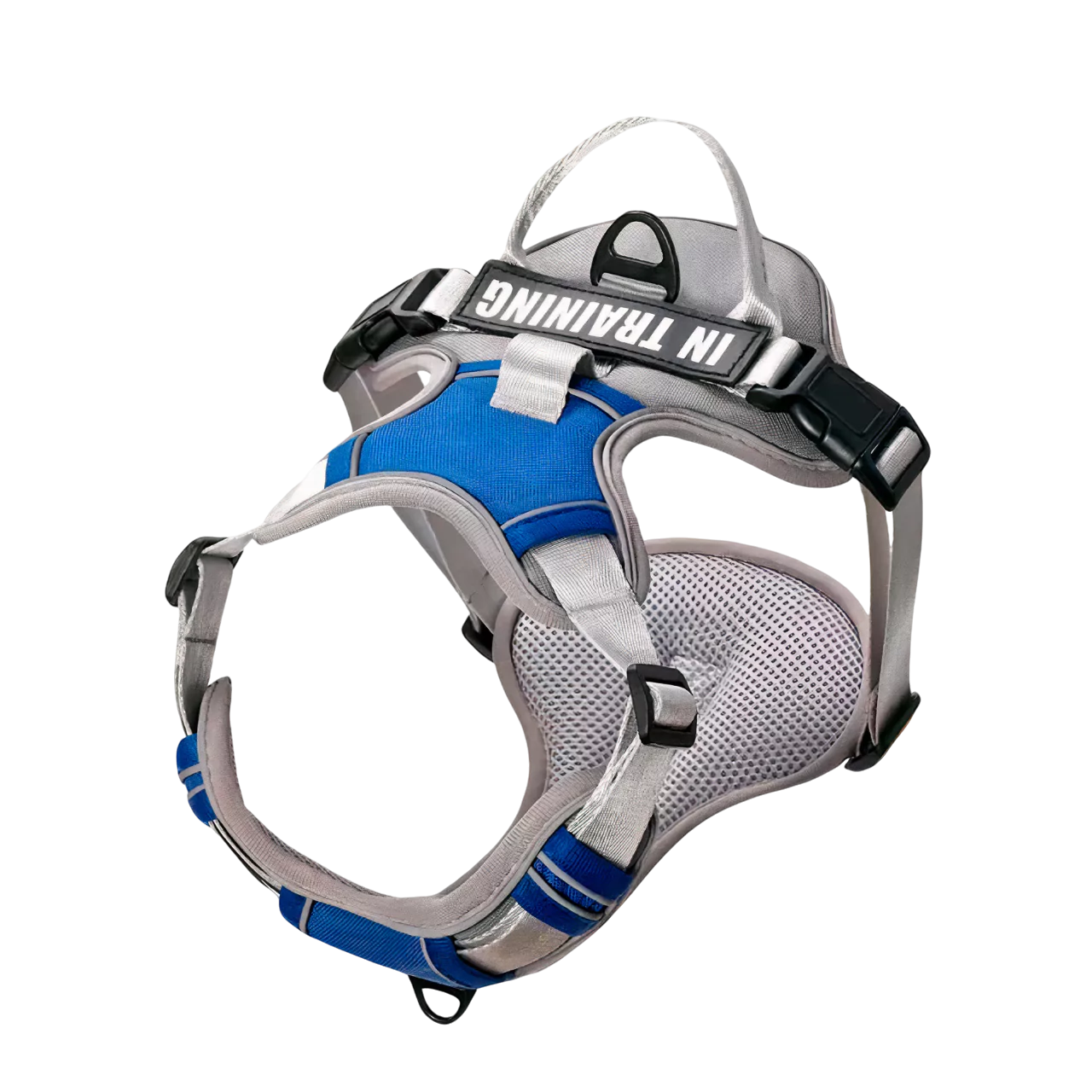 custom canine dog harness personalized active Y shape canine culture