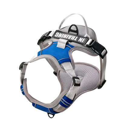 custom canine dog harness personalized active Y shape canine culture