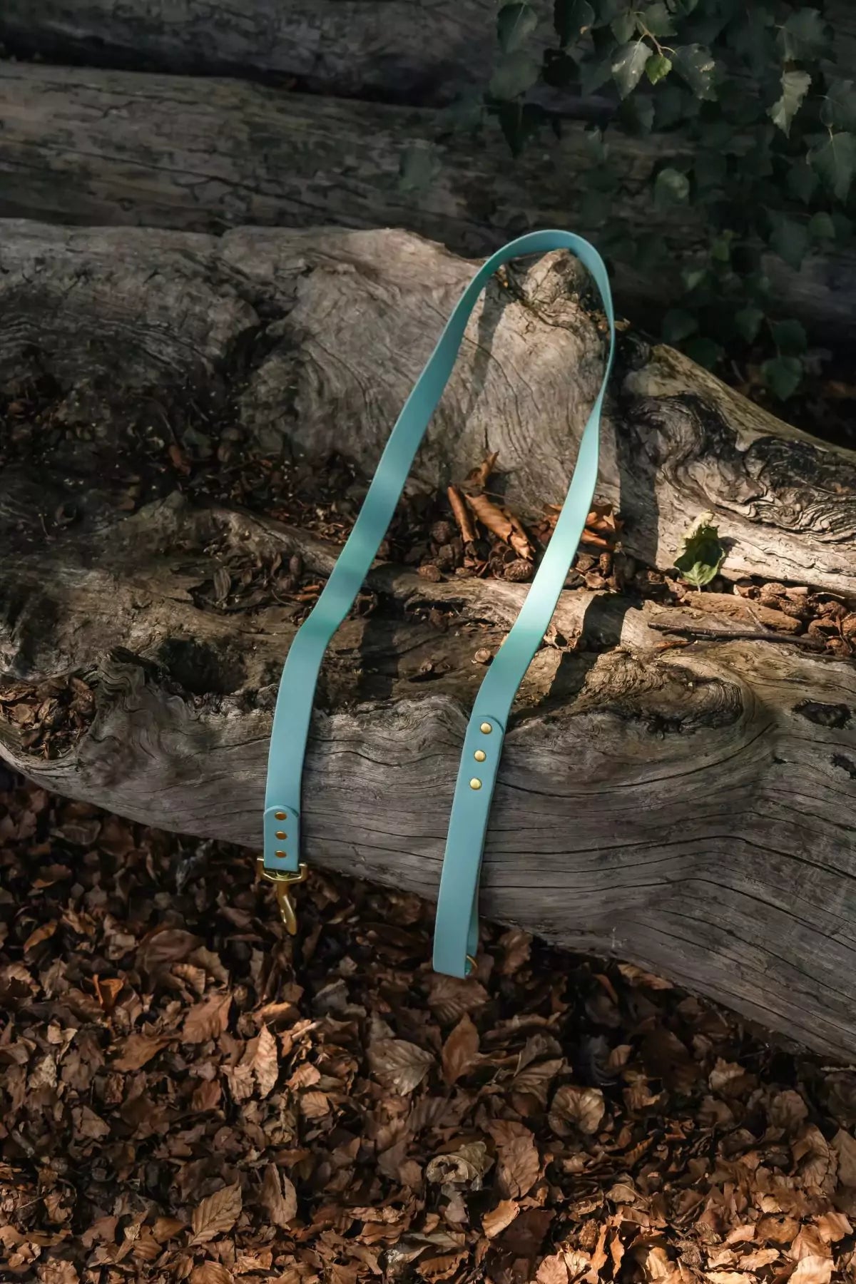 canine culture blue dog leash